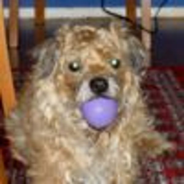 ElTico68 profile photo