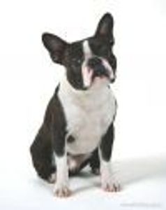 millie_dillmount Profile Photo