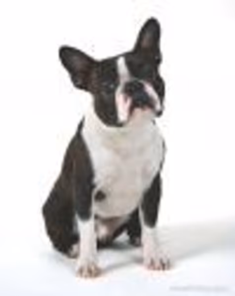 millie_dillmount profile photo