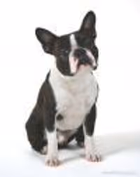 millie_dillmount Profile Photo