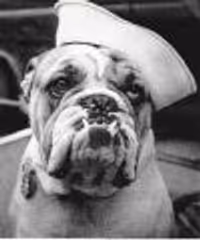 dtzumbrunnen Profile Photo