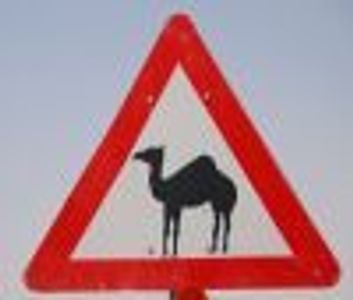 Misplaced Profile Photo