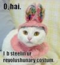 Jellylorum Profile Photo