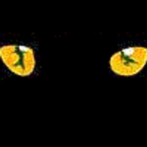 SuddenlyMara Profile Photo