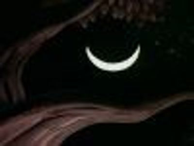 Cheshcat13 Profile Photo