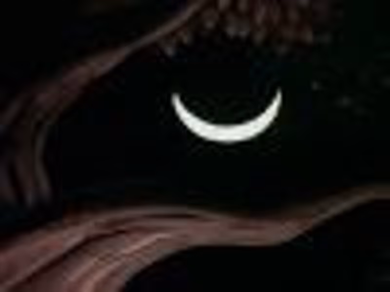 Cheshcat13 profile photo