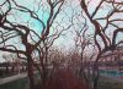 bwayaddict Profile Photo