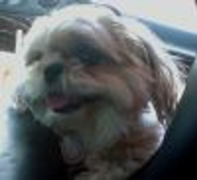 caitiesus1522 profile photo