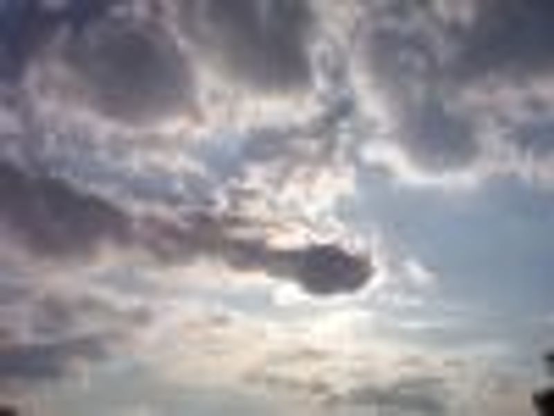PointeShoes23 profile photo