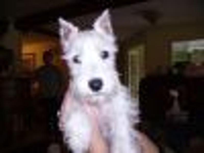 Michelleruth2 profile photo