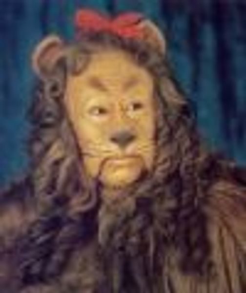 CowardlyLyon profile photo