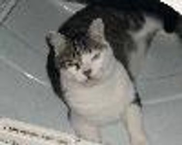 Skempp Profile Photo