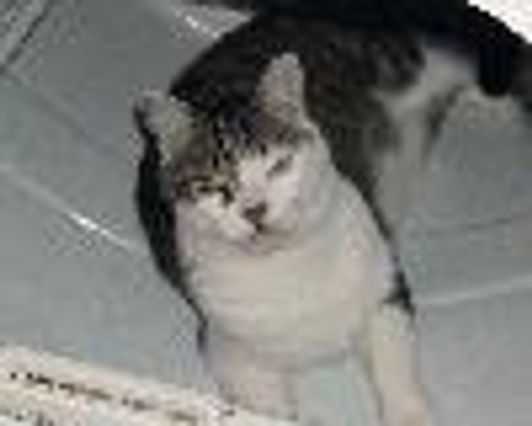 Skempp profile photo