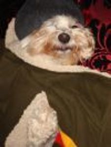 Mrs.LinkLarkin2 Profile Photo