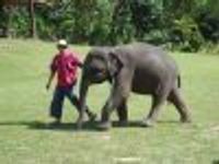 LeeLee2 Profile Photo