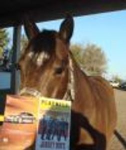 shatteredheart Profile Photo