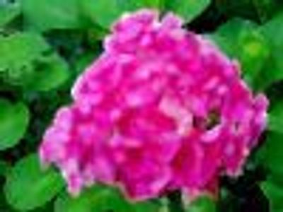 anastasia b Profile Photo