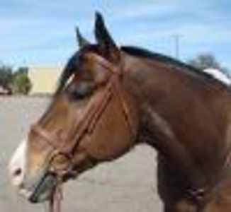 manywishes Profile Photo