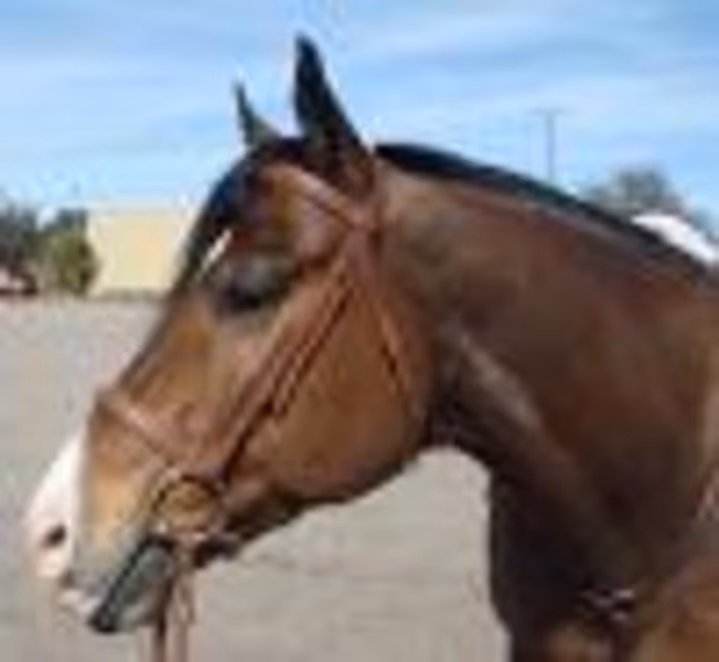 manywishes profile photo