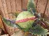 seeingi Profile Photo