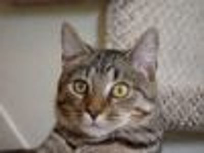 Brooks_Hatlen Profile Photo