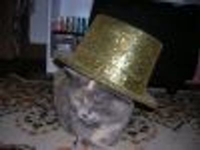 donnak Profile Photo