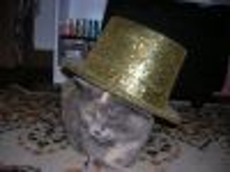 donnak profile photo