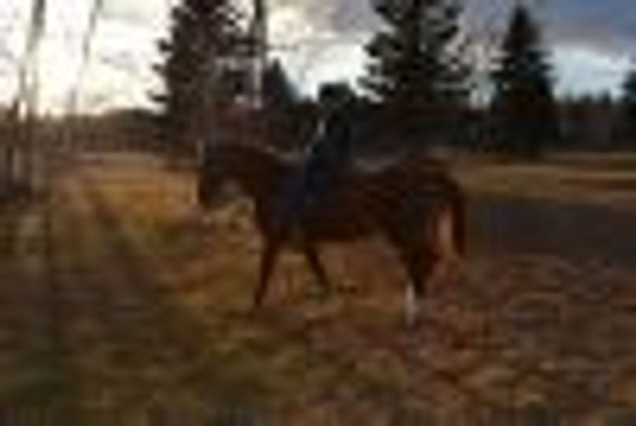 Defying--gravity profile photo