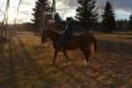 Defying--gravity Profile Photo