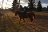 Defying--gravity Profile Photo