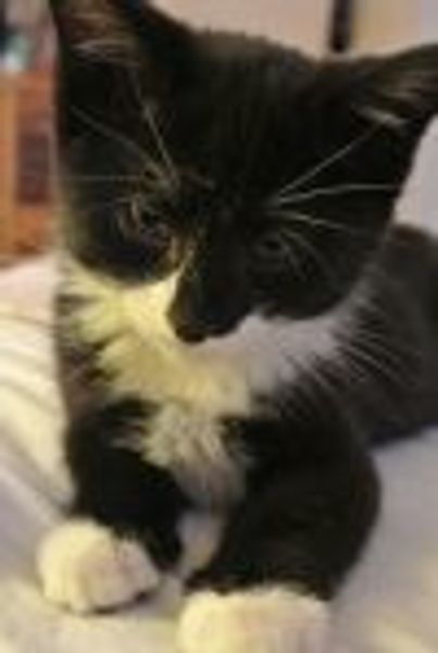 Dulcinea2 profile photo