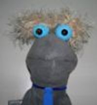 tpzone Profile Photo