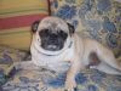 whatyouown223 Profile Photo