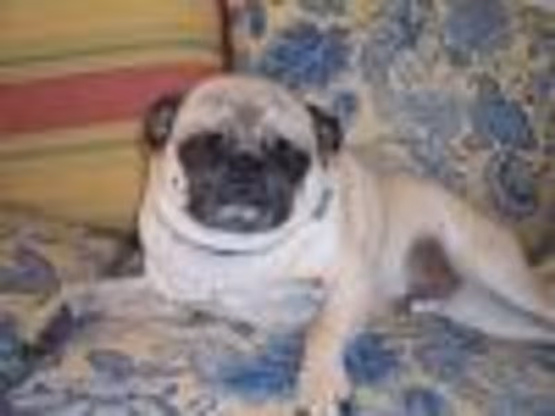 whatyouown223 profile photo
