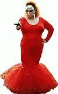 Horsey! Profile Photo