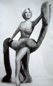 PirateDebutante Profile Photo