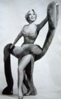 PirateDebutante Profile Photo