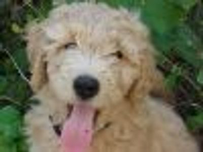 jennyanydots00 Profile Photo