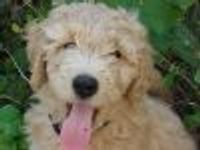 jennyanydots00 Profile Photo