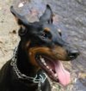 Geoff Profile Photo