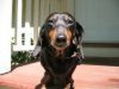 scooter38432 Profile Photo