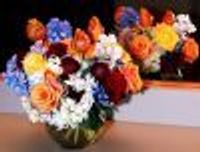 NotTheBearNextDoor Profile Photo