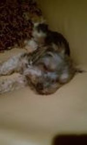 Frankie2 Profile Photo