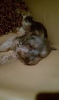 Frankie2 Profile Photo