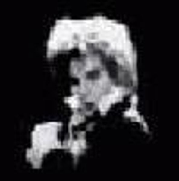ditz profile photo