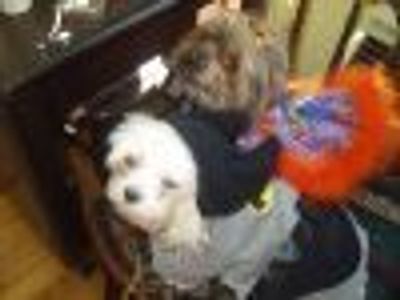 kazacalo Profile Photo