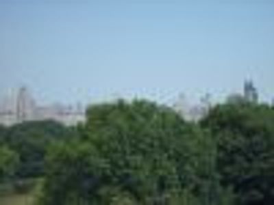 ski2904 Profile Photo