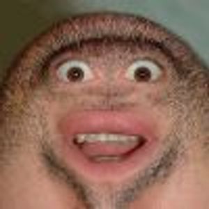 Zippity Do Da Profile Photo