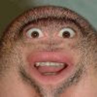 Zippity Do Da Profile Photo