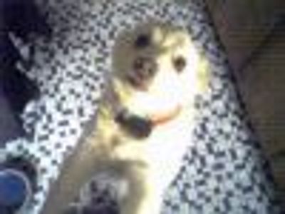 chuckufarley007 Profile Photo